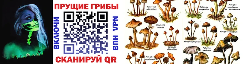 Купить где  Венёв  Галлюциногенные грибы мухоморы 